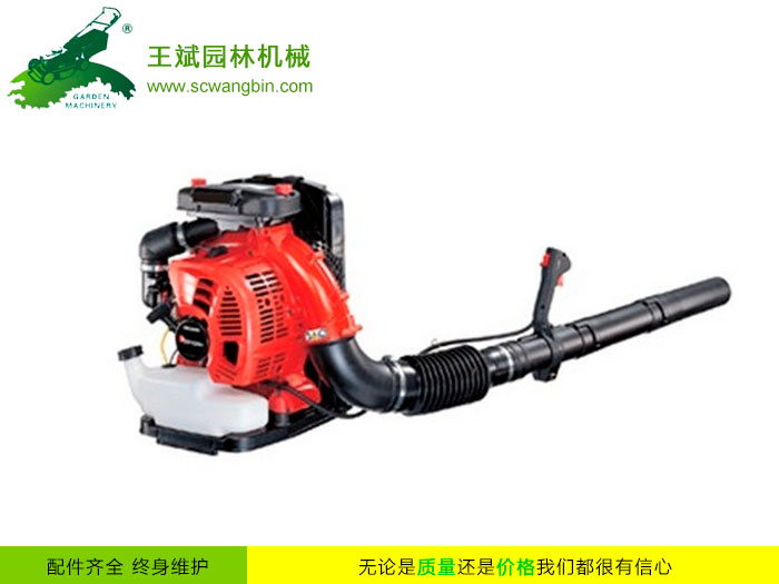 背負式風(fēng)力滅火機-便攜式風(fēng)力滅火機-四川成都風(fēng)力滅火機銷售