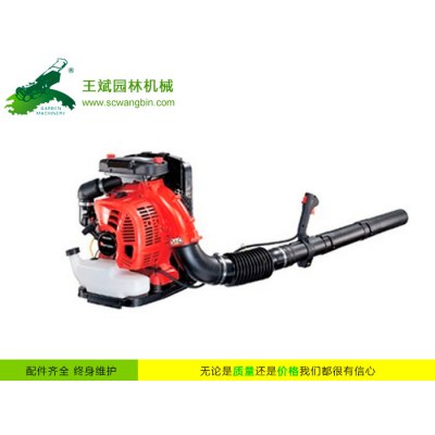 背負(fù)式風(fēng)力滅火機(jī)-便攜式風(fēng)力滅火機(jī)-四川成都風(fēng)力滅火機(jī)銷售